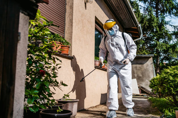 Best Best Pest Control Companies  in Avila Beach, CA