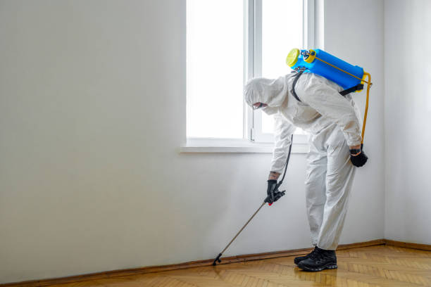 Reliable Avila Beach, CA Pest Control Solutions