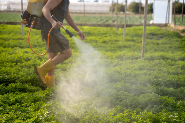 Best Mosquito Control Services  in Avila Beach, CA