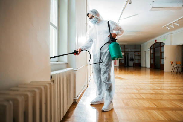 Best Local Pest Control Services  in Avila Beach, CA