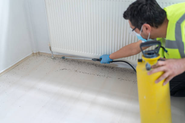 Pest Control Cost in Avila Beach, CA