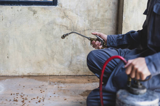 Best Pest Control Cost  in Avila Beach, CA